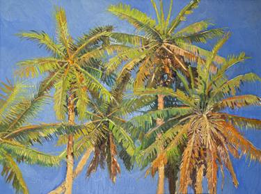 Coconut Palm Trees thumb