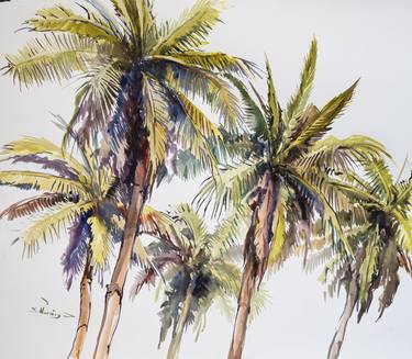 Coconut Palms thumb