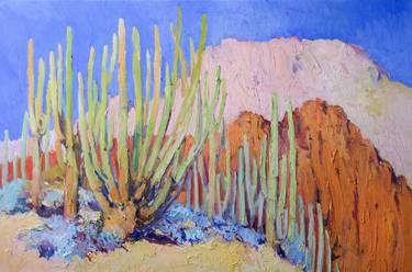 Saguaro Cactuses in Arizona thumb