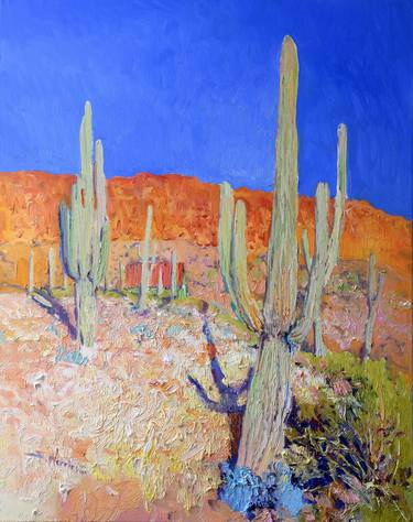 Saguaros in Arizona Desert thumb