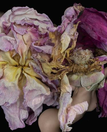 Original Contemporary Floral Photography by tino tedaldi