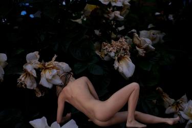 Original Figurative Nude Photography by tino tedaldi