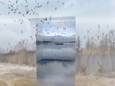 Print of Conceptual Nature Photography by Ton van Velsen