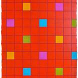 Marimba Red Hot IV by Amy van Helden
