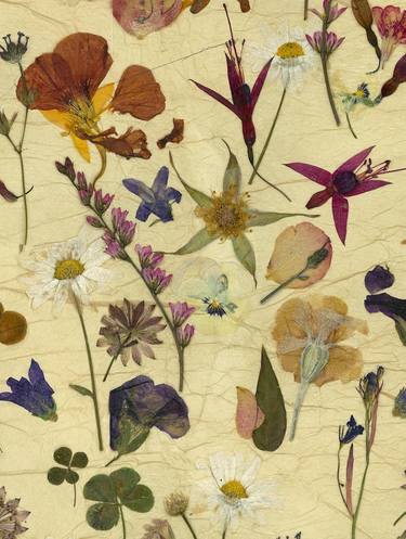 Print of Nature Collage by kaye miller-dewing