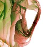 Collection Earth Minded