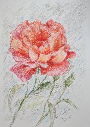 Original Figurative Floral Drawing by Agnieszka   Praxmayer