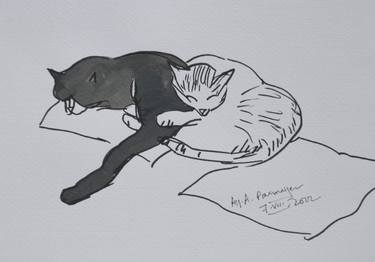 Original Figurative Cats Drawings by Agnieszka Praxmayer