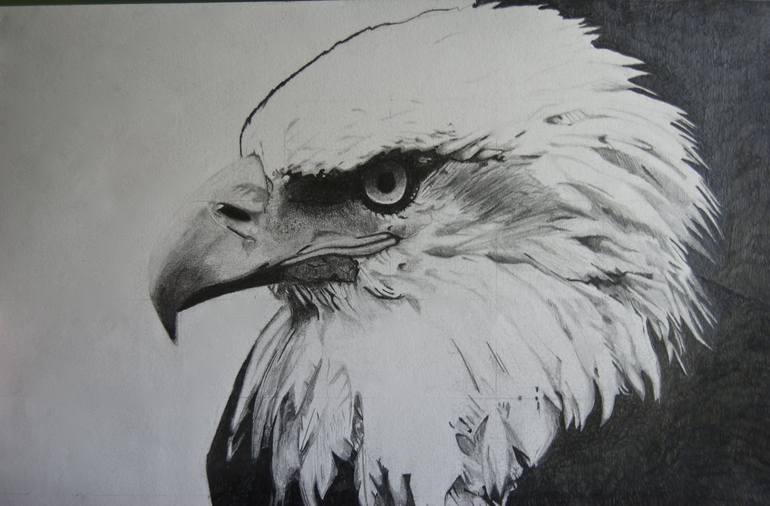 The Eagle Drawing by Richard Mawdsley | Saatchi Art