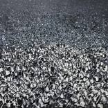 Homage to Weegee. by Stephen Brook