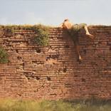 The wall by agim sulaj