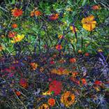 Nocturnal Blooms by Prithvi Kumar