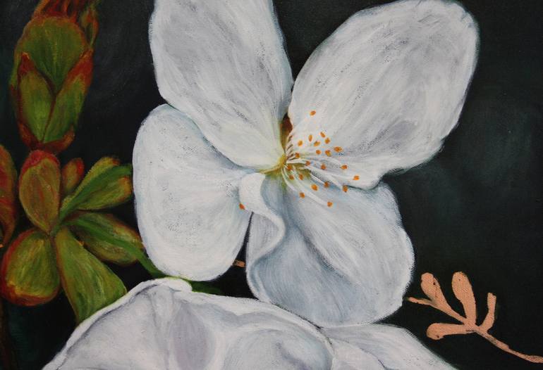 Original Fine Art Floral Painting by Veronica Vosloo