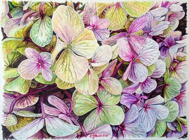 Original Fine Art Floral Paintings by Kathryn Gabinet-Kroo