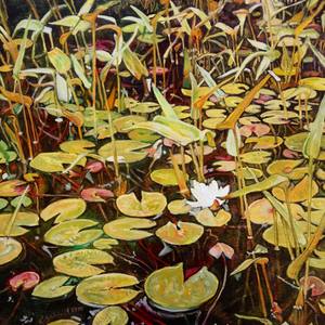 Collection Botanical Works for $1000 and Under