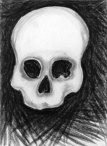 "Skull" by Rae Hauck thumb