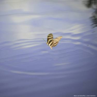 Butterfly and Water 2 - Limited Edition of 9 thumb