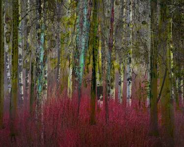 Original Expressionism Landscape Photography by Geert lemmers