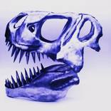 T Rex skull by Craig White