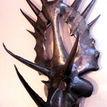 Triceratops skull by Craig White