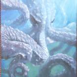 Octopus by Craig White