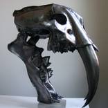 Sabre tooth tiger by Craig White