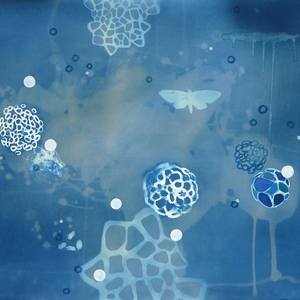 Collection Terri Dilling CYANOTYPES