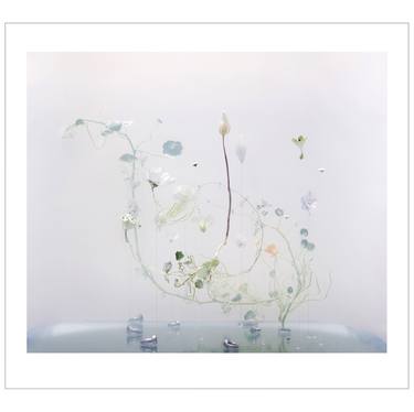 Original Contemporary Floral Photography by Anne ten Donkelaar