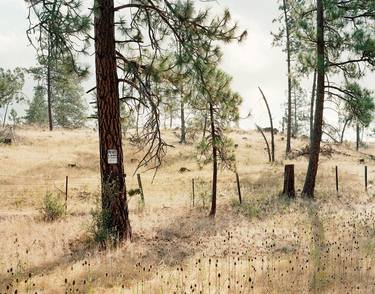 Original Realism Landscape Photography by PAUL MURPHY