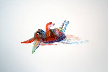 Original Animal Drawings by Hanna Ilczyszyn