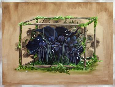 Black lilies thumb