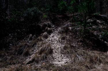  Deer Tracks By Light of The Full Moon thumb