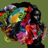 Collection Art for the Aspiring Collector