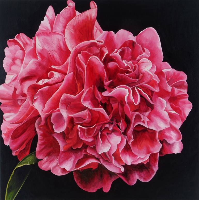 Pink Camelia Painting by Natalie Toplass | Saatchi Art