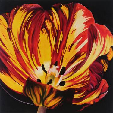 Red and Yellow Tulip thumb