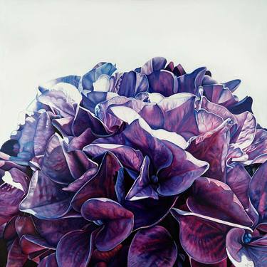 Original Floral Paintings by Natalie Toplass