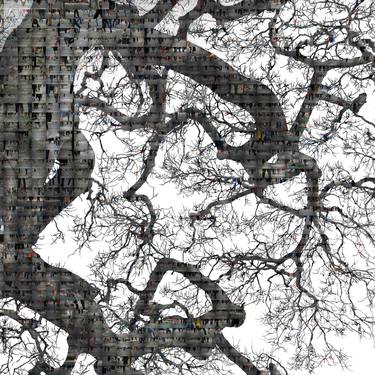 'Coexistence'_Zelkova tree & Human being thumb