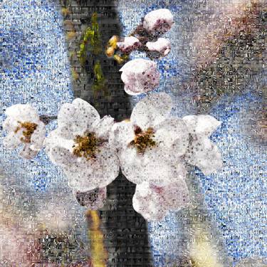 'Cherry Blossoms_Electricity_Road' (Edition of 10, 1 Sold) thumb