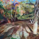 Spring Forest Shadows by Alison Chaplin