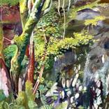 Trees and Rocks by Alison Chaplin
