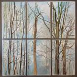 Through the Window by Alison Chaplin