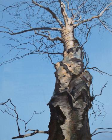 Original Realism Tree Paintings by Alison Chaplin