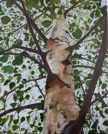 Print of Realism Tree Paintings by Alison Chaplin