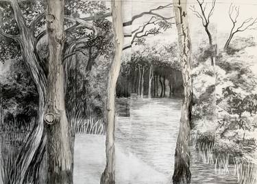 Original Conceptual Landscape Drawings by Alison Chaplin