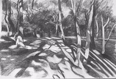 Original Landscape Drawings by Alison Chaplin