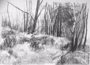 Original Landscape Drawings by Alison Chaplin