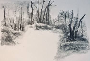 Original Realism Landscape Drawings by Alison Chaplin