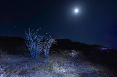 Blue Ocotillo and Moon - Limited Edition of 9 thumb
