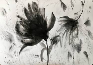 Original Expressionism Botanic Drawings by Miguel Rodax