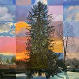 Coniferous Sky by Carl Grauer